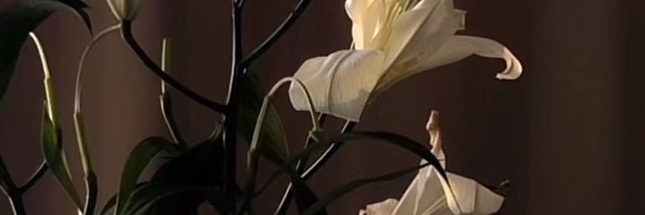 ggm243's profile banner image
