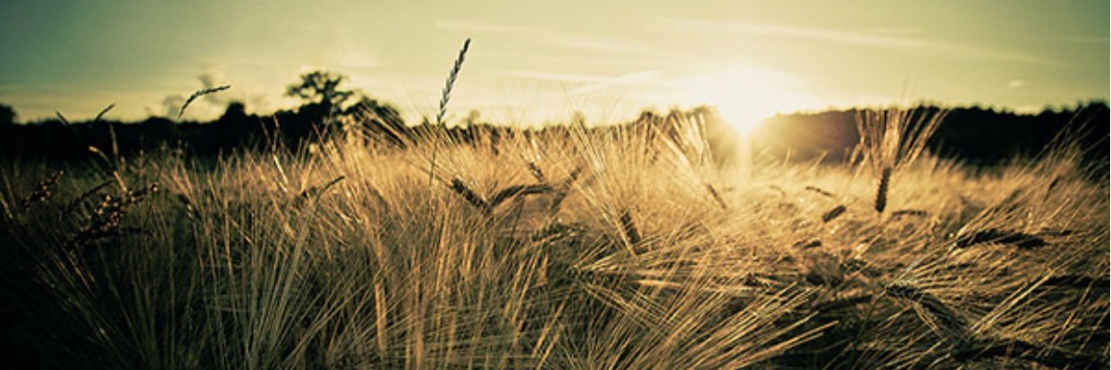 kayleedaniel95's profile banner image