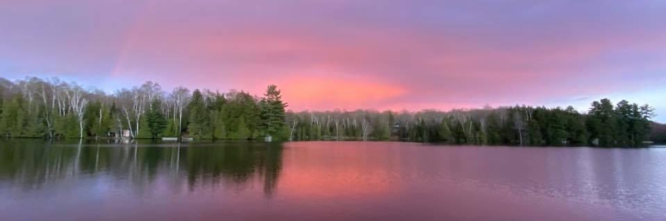 Christine Stapleton banner