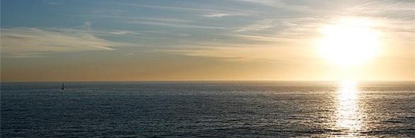NancyScarcella's profile banner image