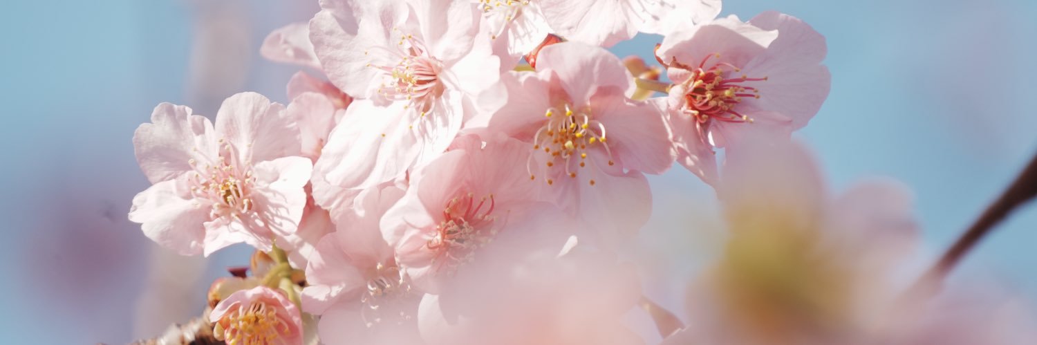 yu_12tm's profile banner image