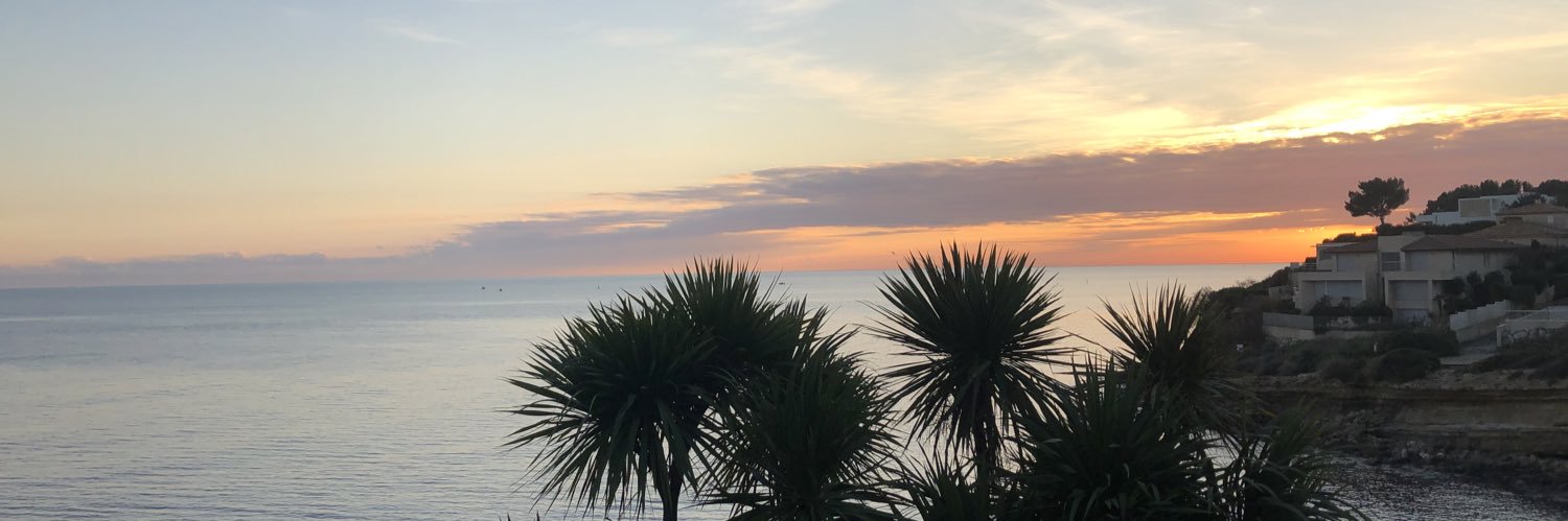 adstellas's profile banner image