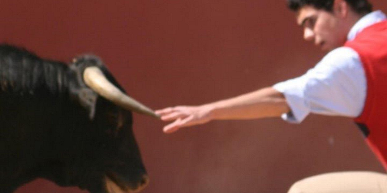 luisfcochicho's profile banner image
