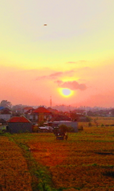 dewadode_dena's profile banner image