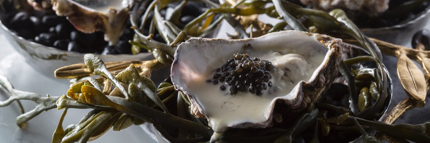 Carrie Nahabedian banner