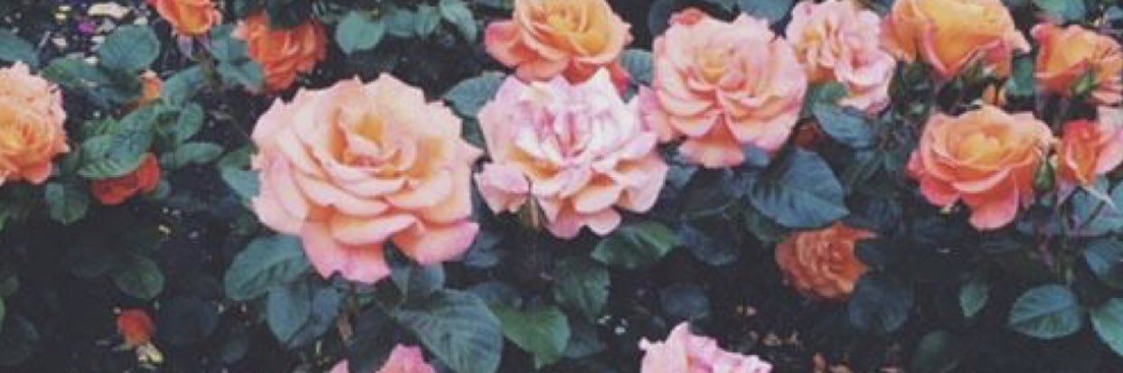 luamedeiiros's profile banner image