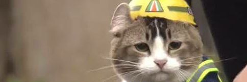 𝕏むぎの𝕏 banner