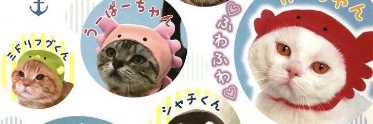 ࣪˖ ִ𐙚˖ ִ ⋆day⋆˙࣪˖ ִ𐙚 banner