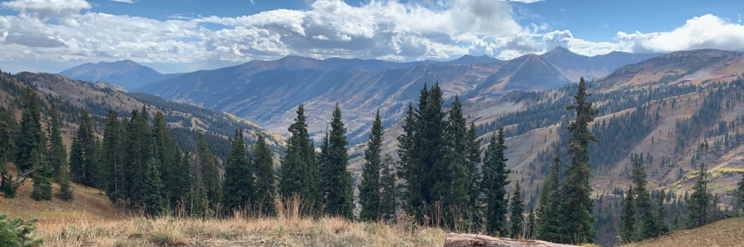 MadisonLBrown's profile banner image