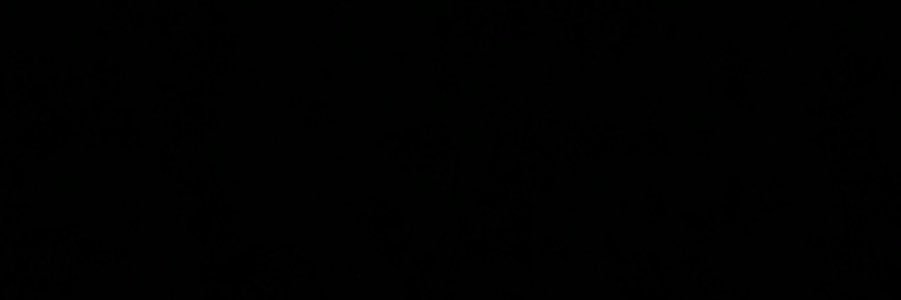 Neww_approach's profile banner image