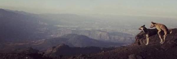 MahOeeeeeeee's profile banner image