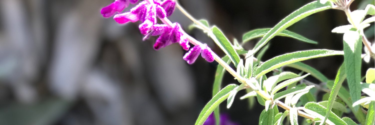 bookmarkkt's profile banner image