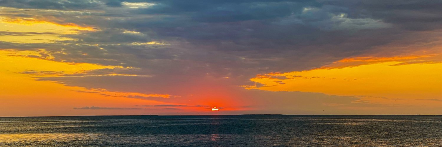 laurabfreeman's profile banner image