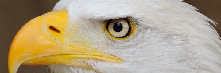 aenluarada's profile banner image
