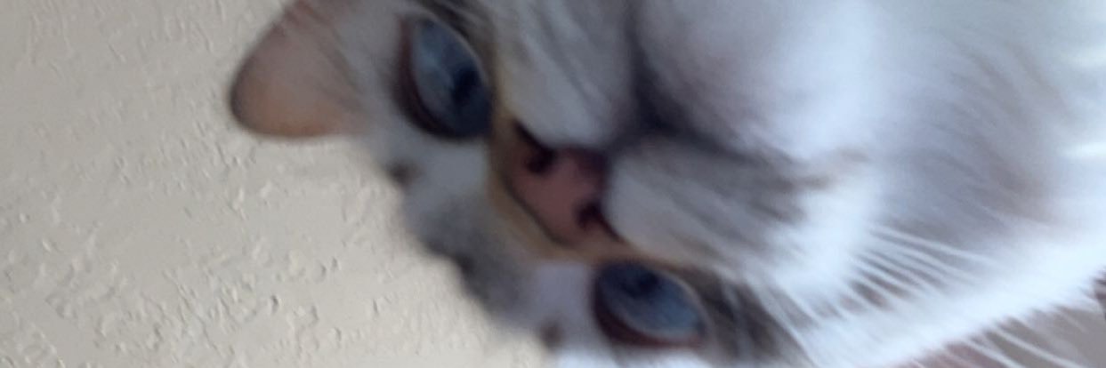 ReillyKahler7's profile banner image