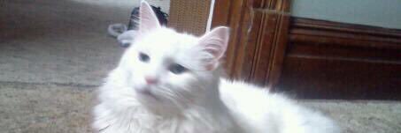 jtfiv411's profile banner image