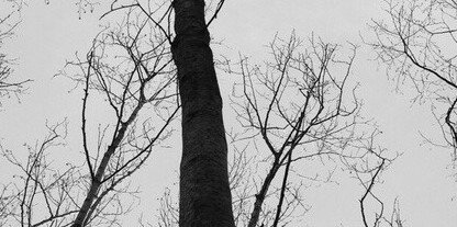 karyna229's profile banner image