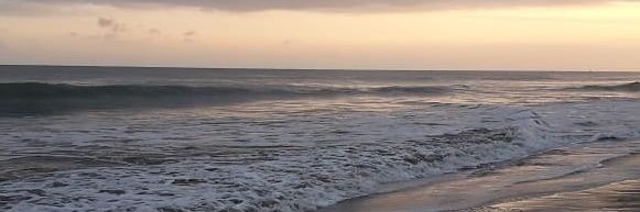 Paula_S_84's profile banner image