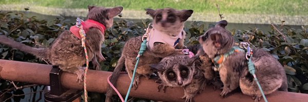 taniym Profile Banner