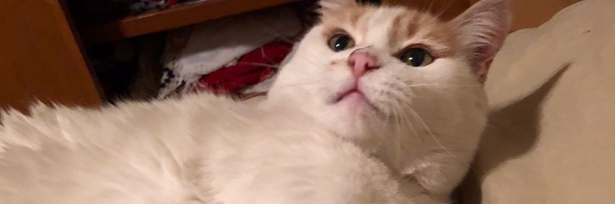 gabymolgar's profile banner image