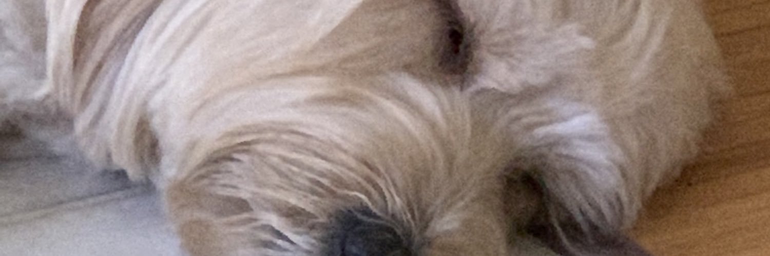 PatrickPgriffin's profile banner image