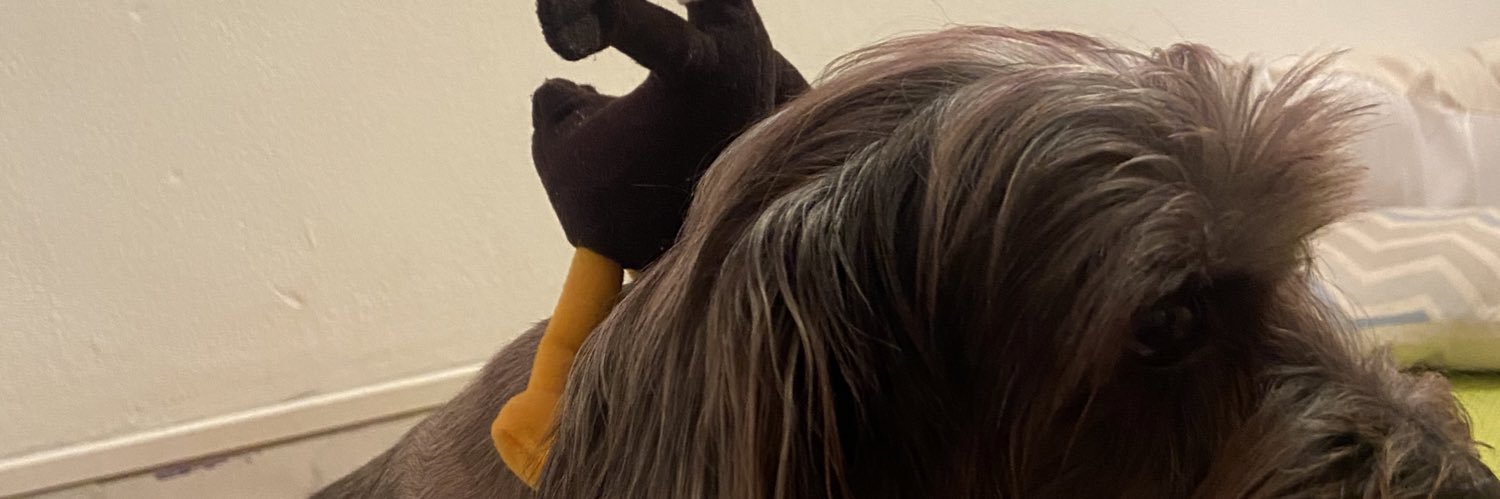 karlaanasciment's profile banner image