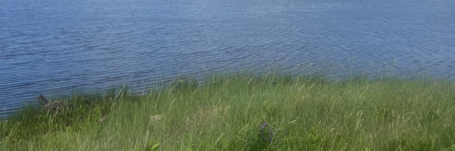JennKrewenki's profile banner image