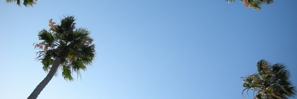 cassandragiugno's profile banner image