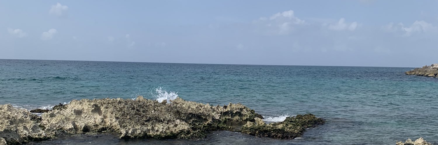 AndrewsChels's profile banner image