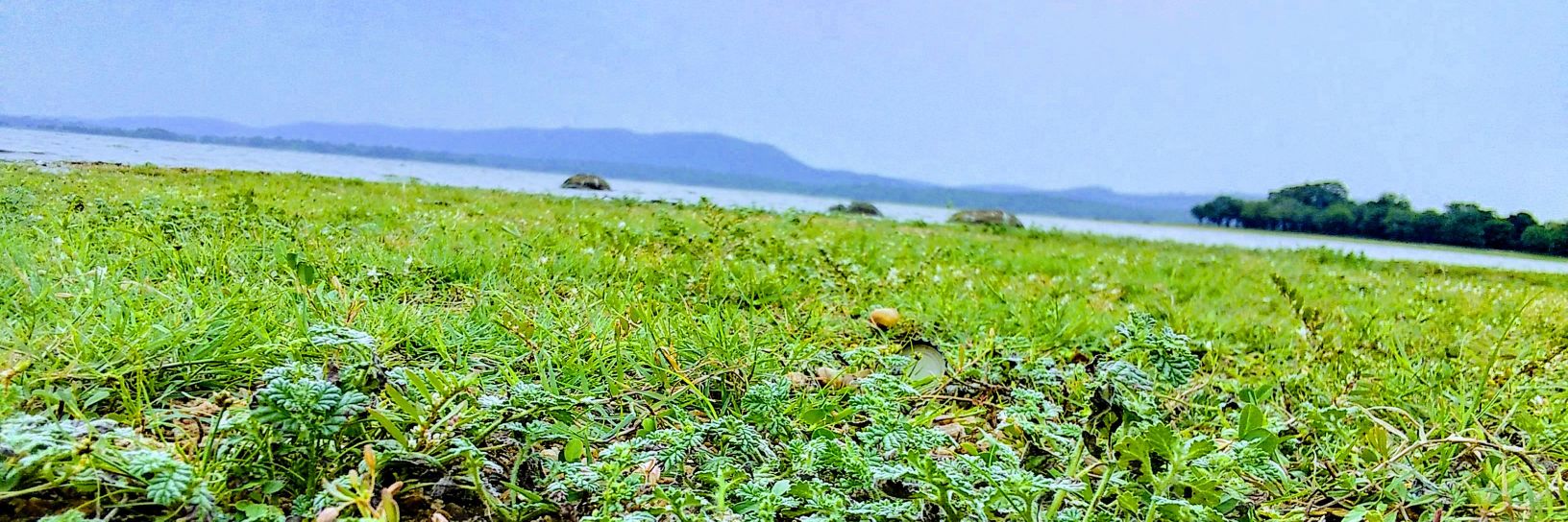 DASUNGAYASHAN's profile banner image