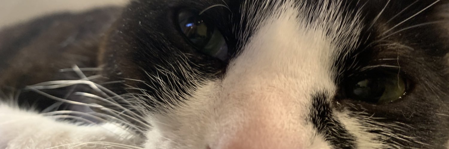 coconaya's profile banner image