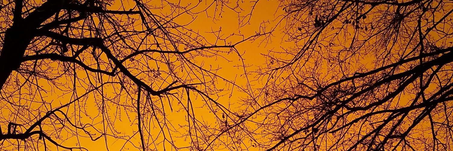 S_M_BARZ's profile banner image