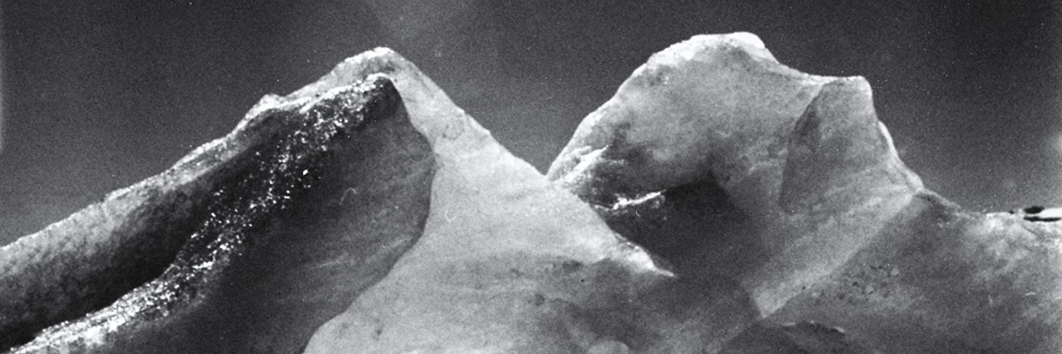 Iwona Aleksandrowicz 🇵🇱🇪🇺 banner