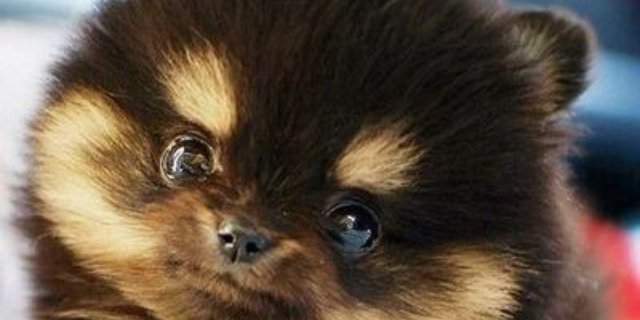 DitchFrank's profile banner image