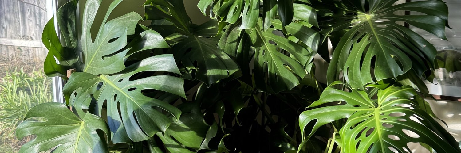 skyahlayne's profile banner image