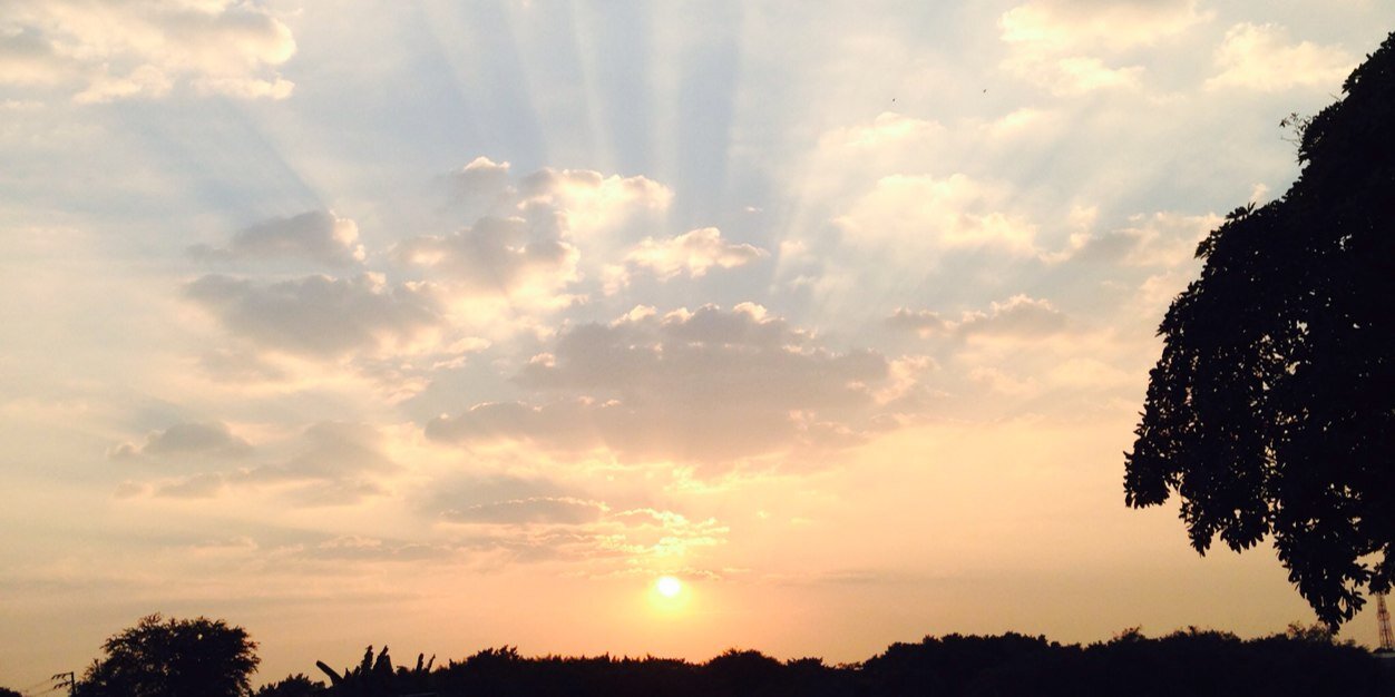falliifine_sj's profile banner image