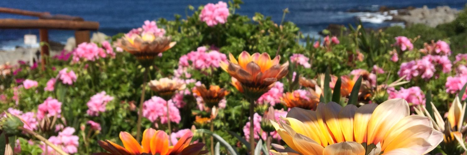 Natalicasanova's profile banner image