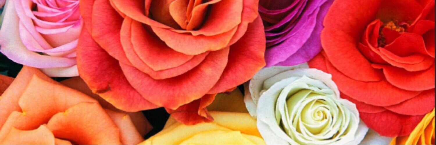 positivelilbee's profile banner image