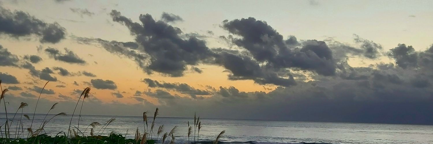 Anemones_3's profile banner image