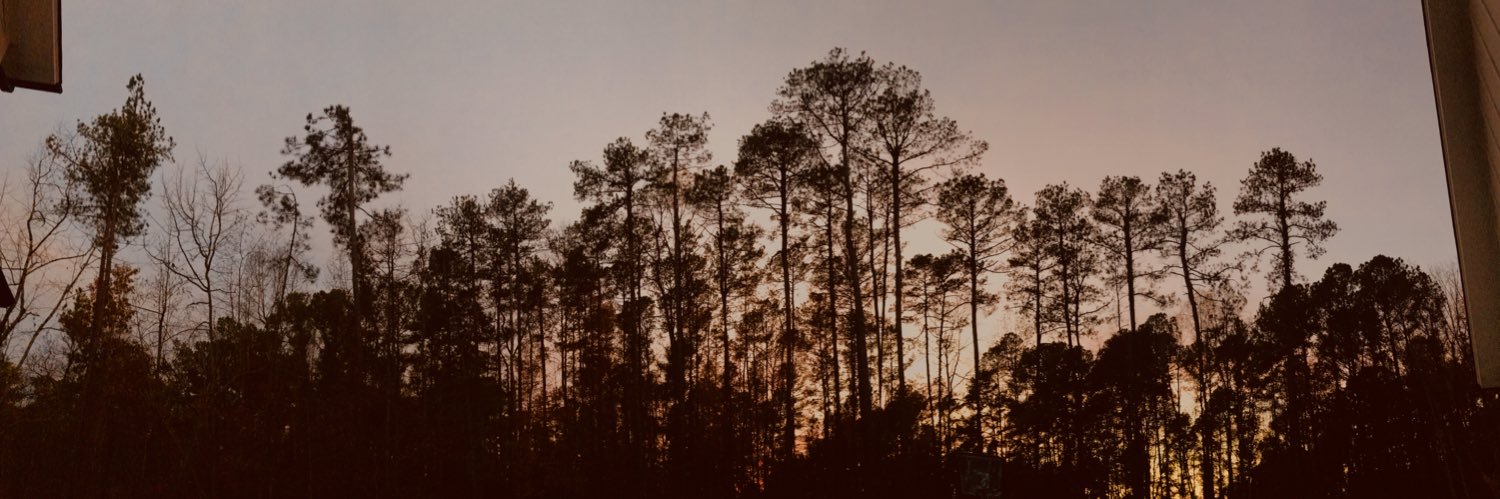 Caity May Hey Hey banner