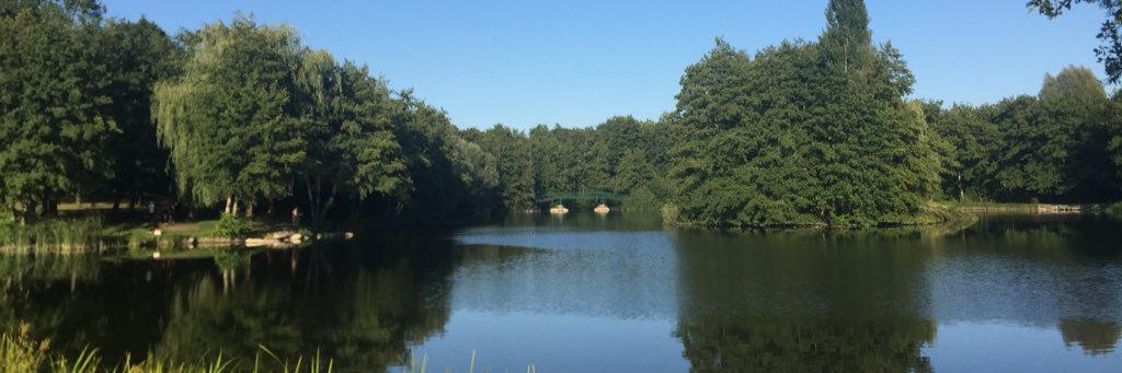 Virginie Mongonou banner