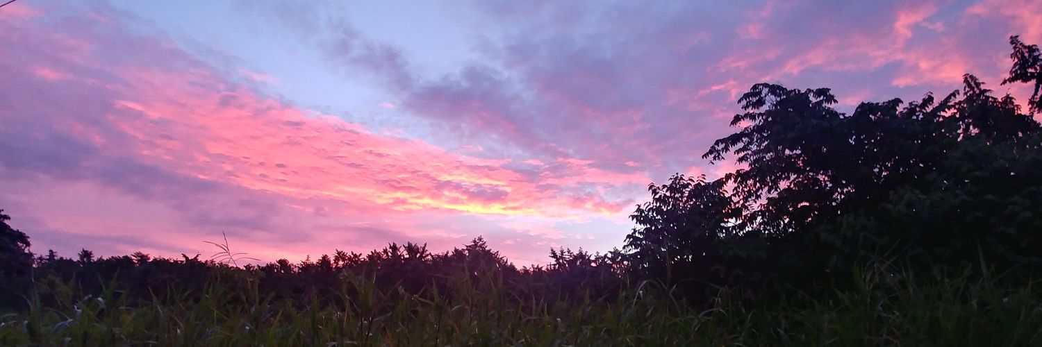 a_valdez_'s profile banner image