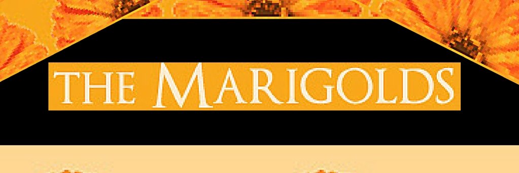themarigolds's profile banner image