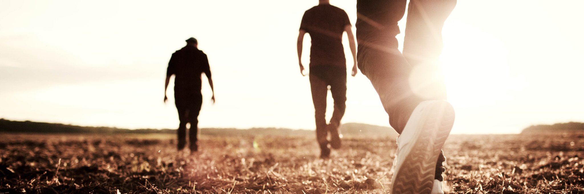 WhiteFloorBand's profile banner image