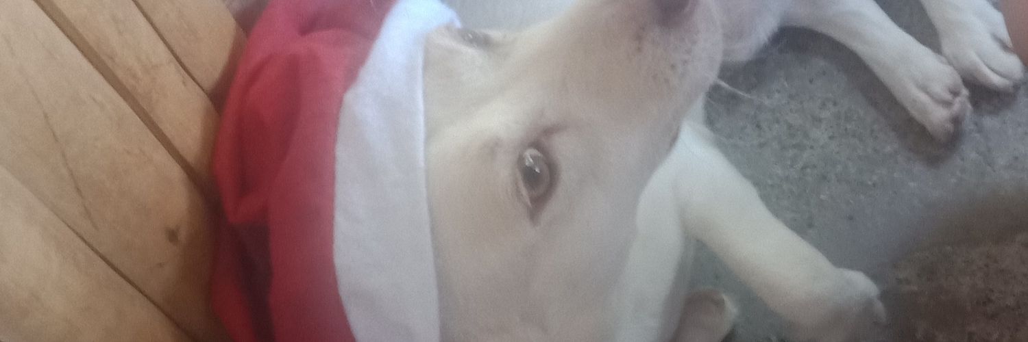 Gubs09's profile banner image
