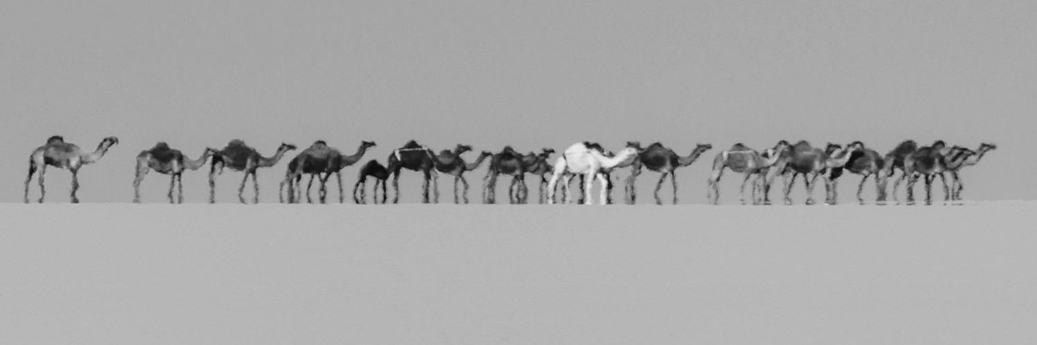 عَ banner