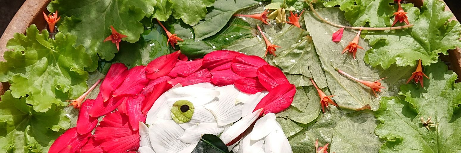 edyppon's profile banner image