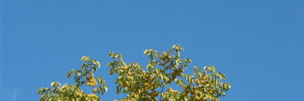 JyriLiukko Profile Banner
