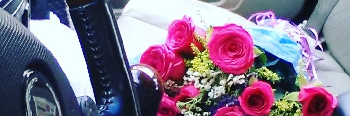 FANNY CORONITA banner