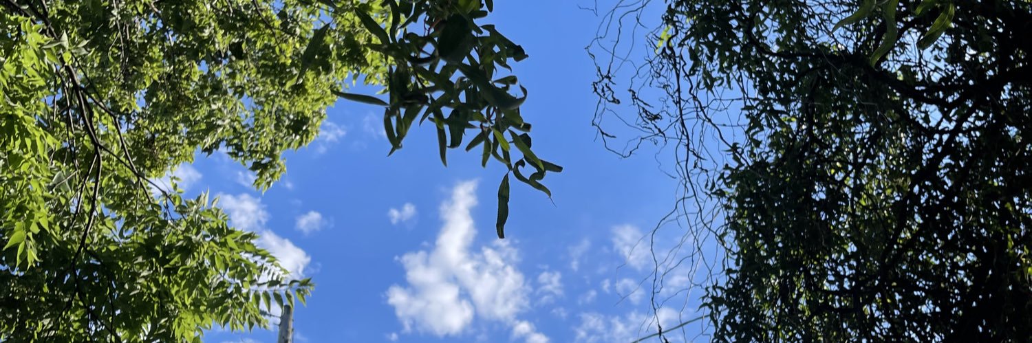 liveforeffa's profile banner image